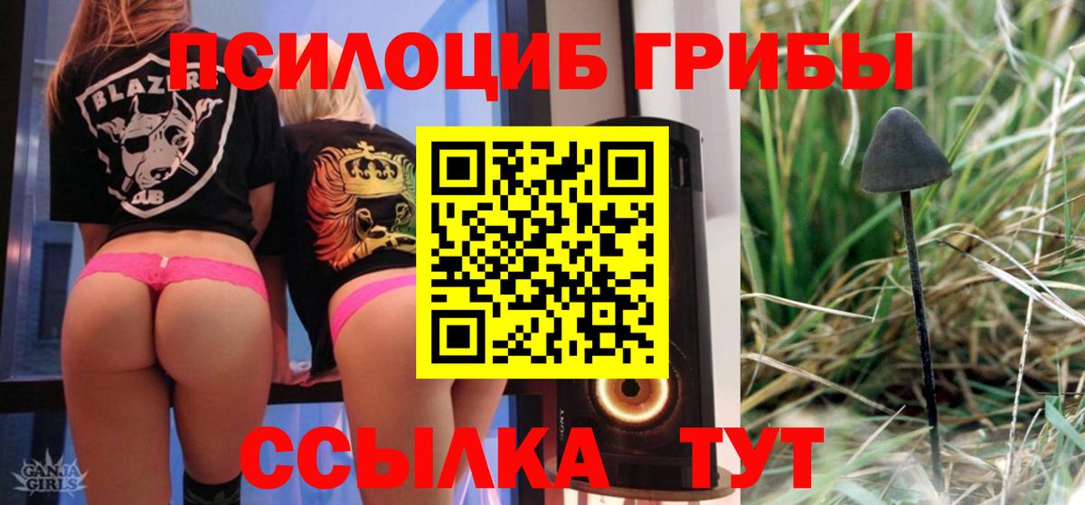 Псилоцибиновые грибы MAGIC MUSHROOMS  где можно купить наркотик  Моздок  Галлюциногенные грибы мицелий  Вход с VPN 