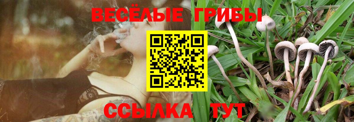 ЭКСТАЗИ  Меф МЯУ МЯУ   Моздок  Вход с VPN  Где купить  Кокаин  ГАШИШ  Каннабис  Гашиш 